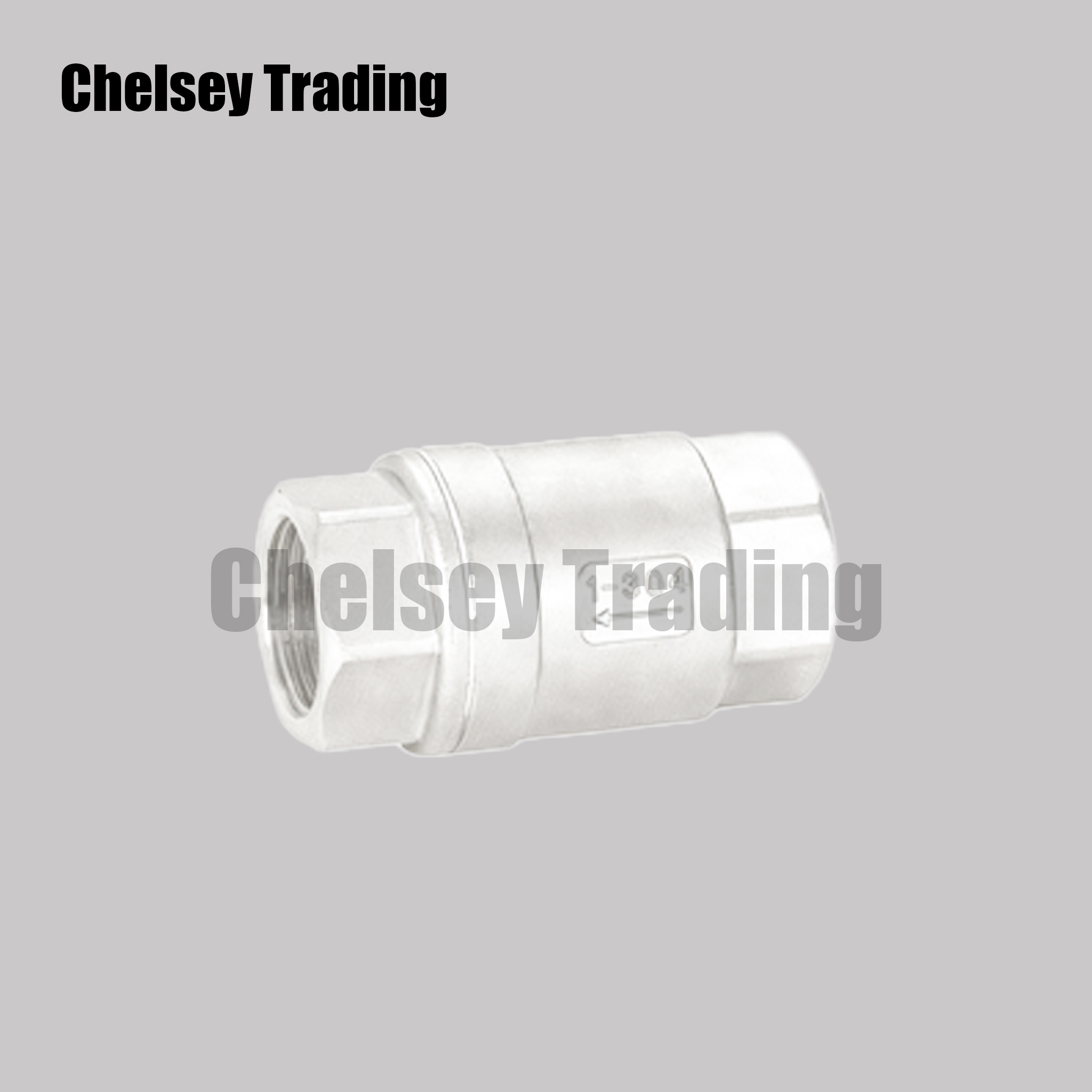 2-Piece Internal Thread Check Valve