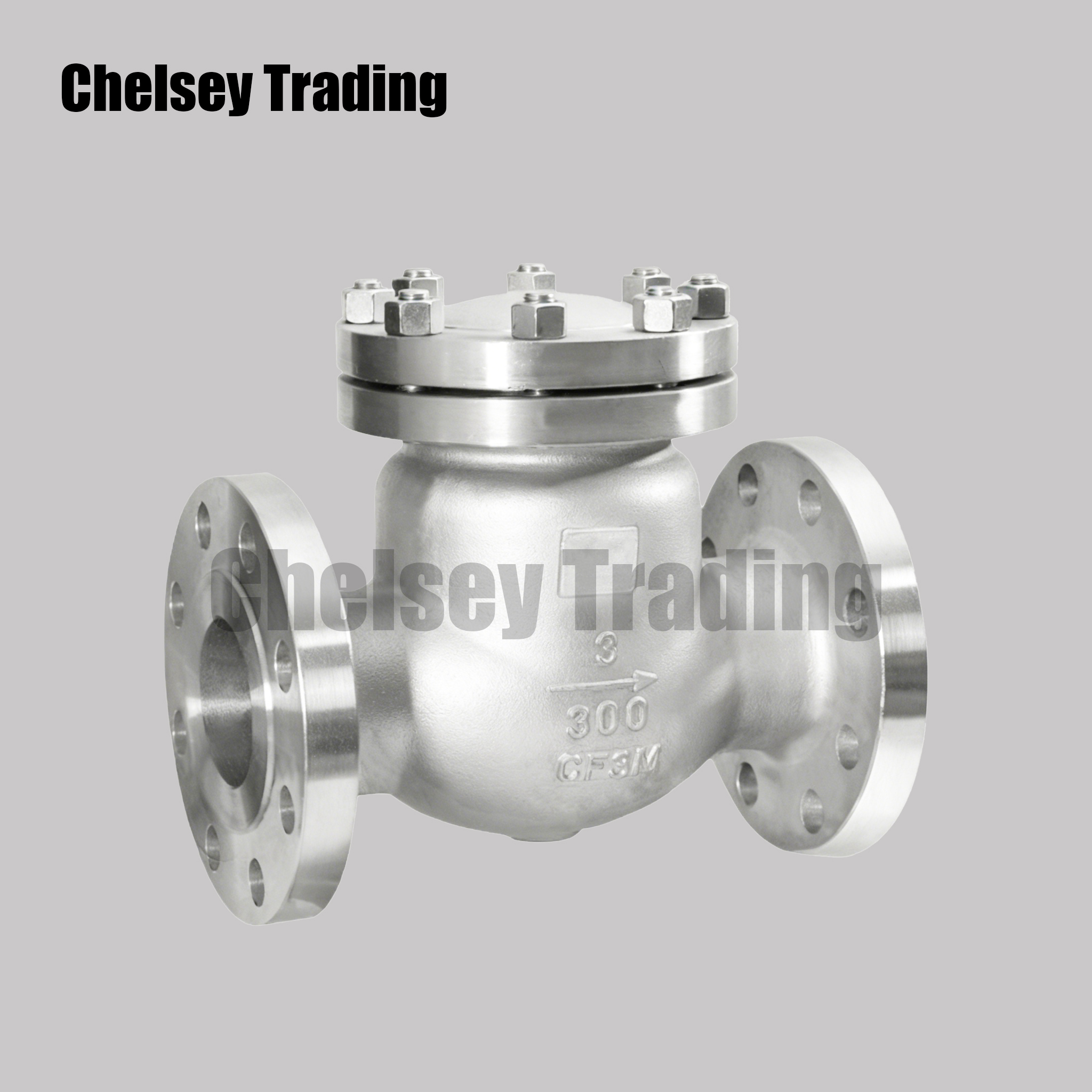 American Standard Swing Check Valve 2