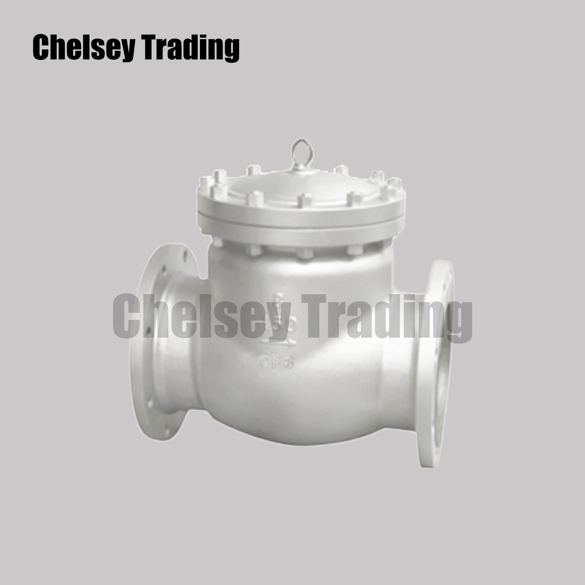 American Standard Swing Check Valve