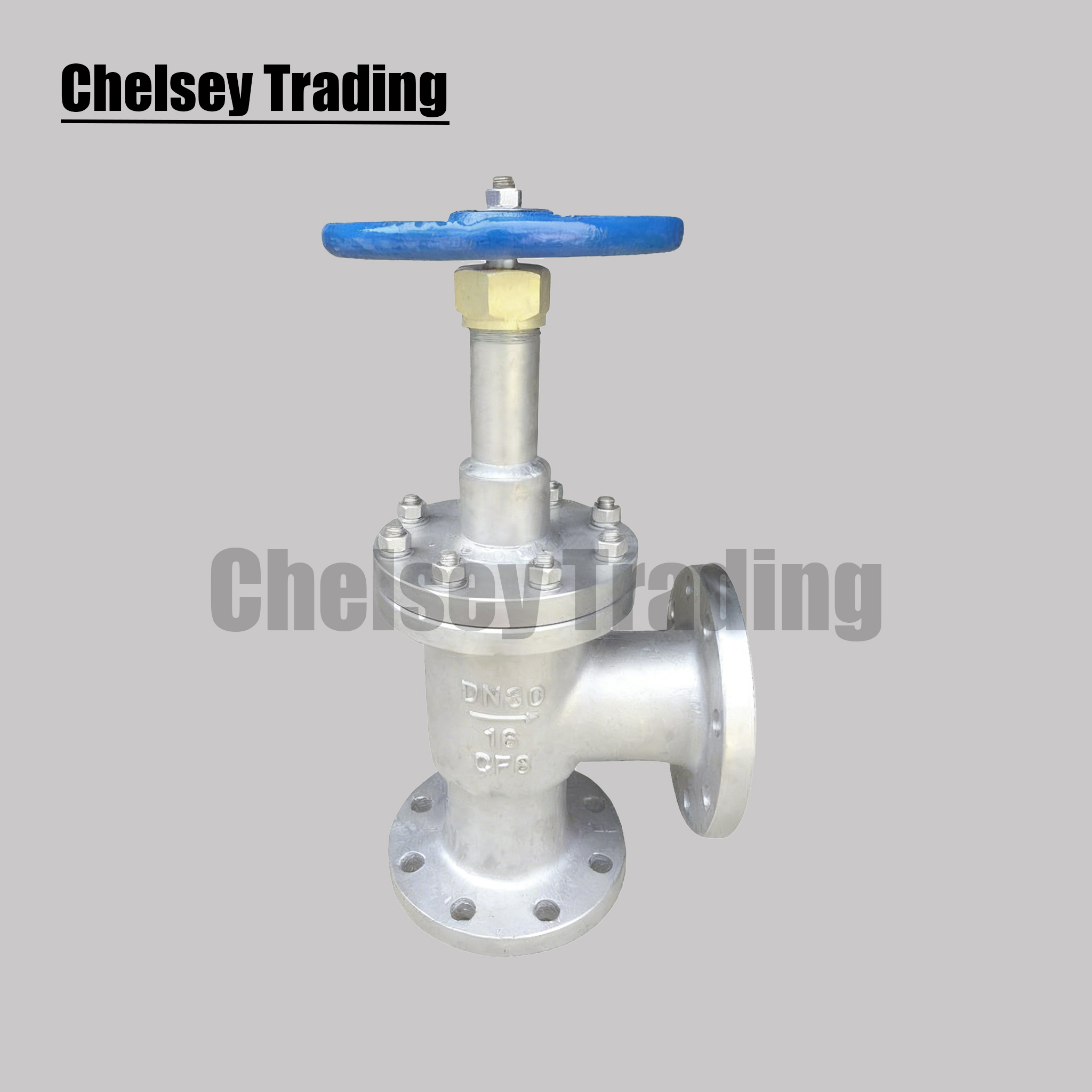 Angle Globe Valve