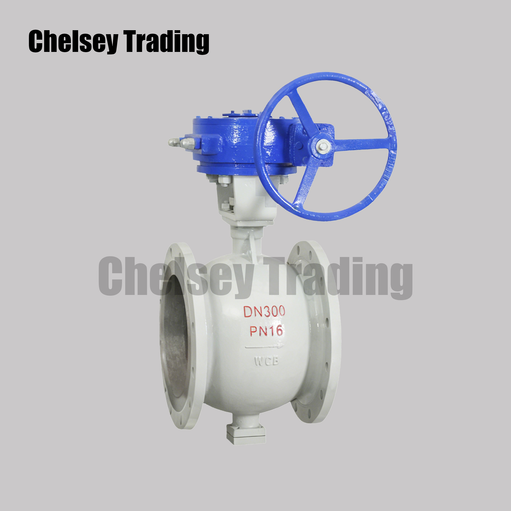 Eccentric Hemispherical Ball Valve