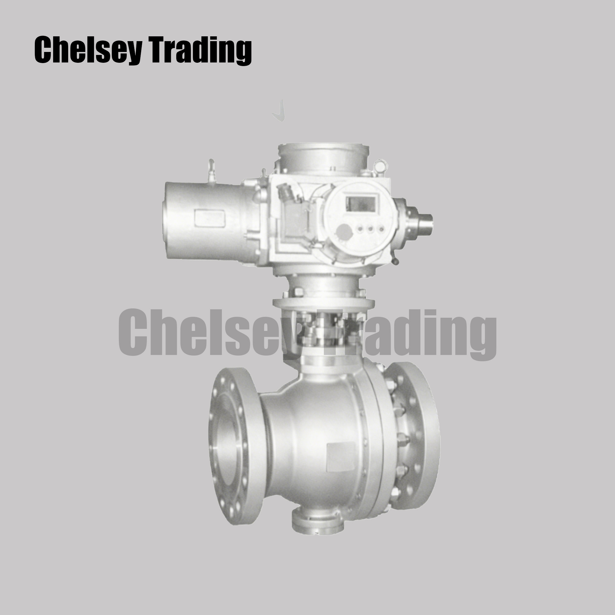 Electric Actuated Trunnion Mounted Ball Valve
