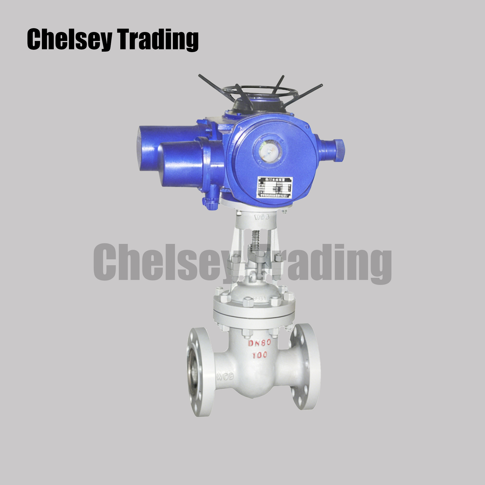 Electric Gate Valve