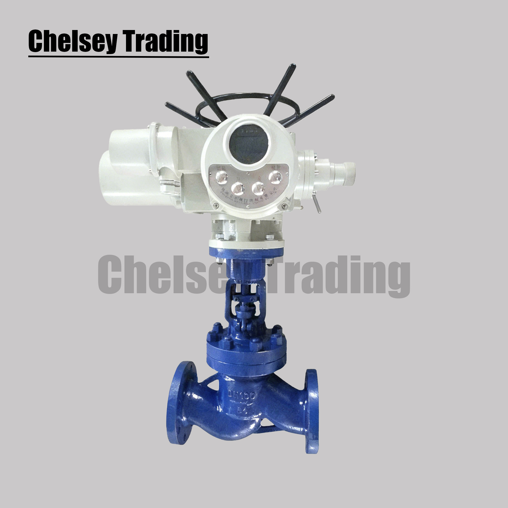 Electric Globe Valve