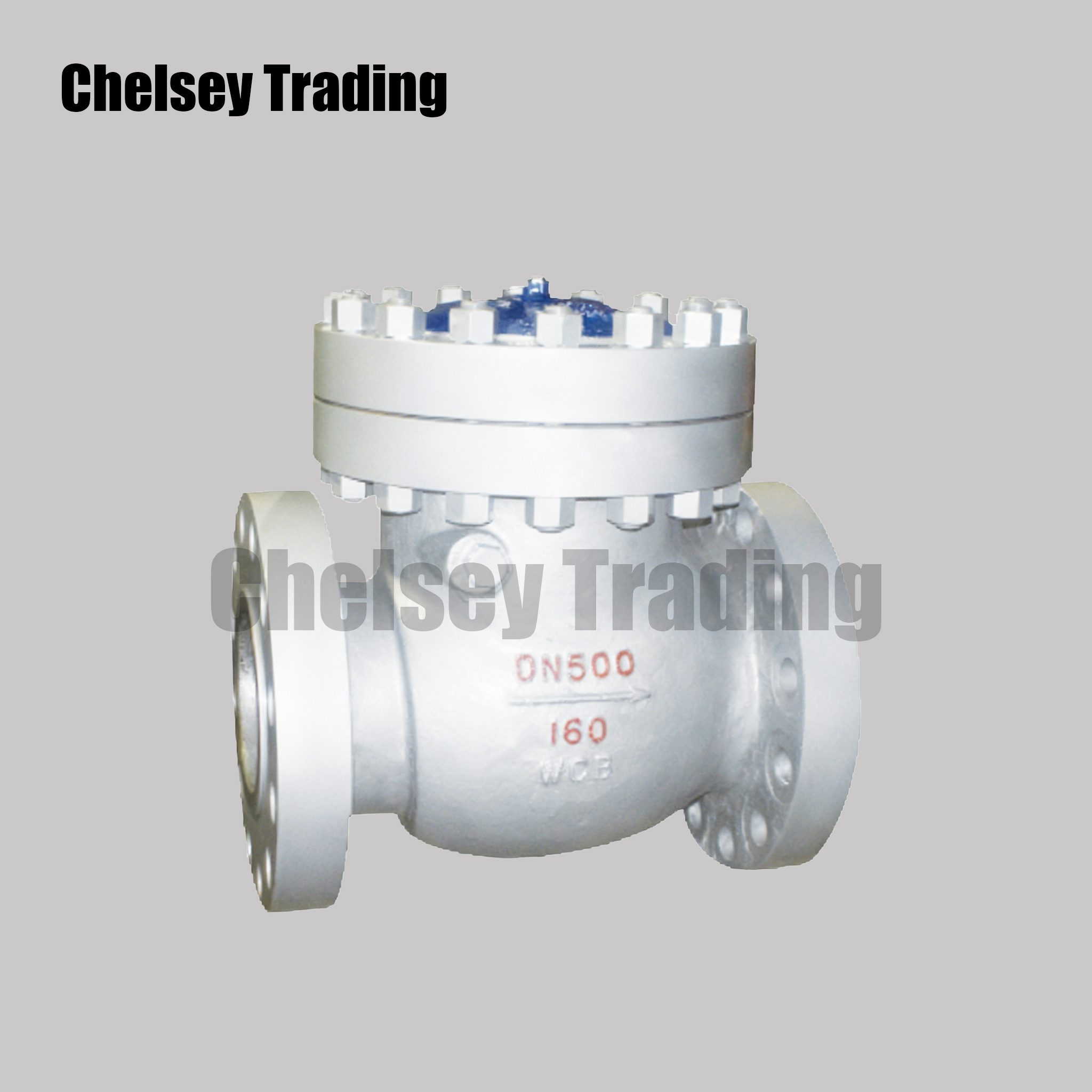 Flanged High-Pressure Check Valve