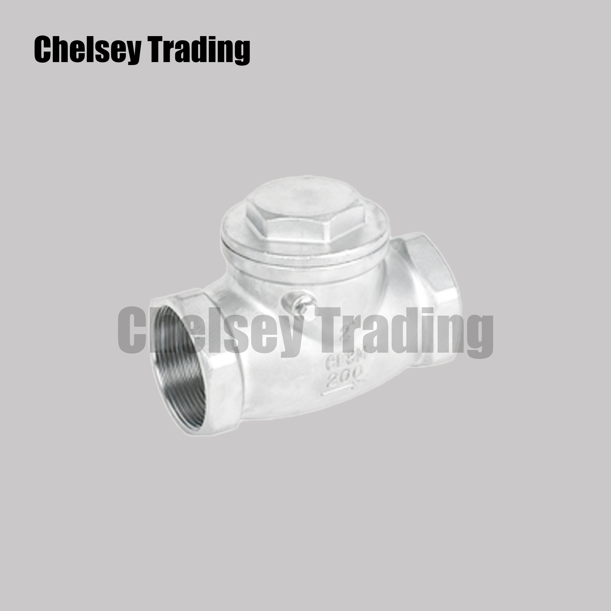Internal Thread Swing Check Valve