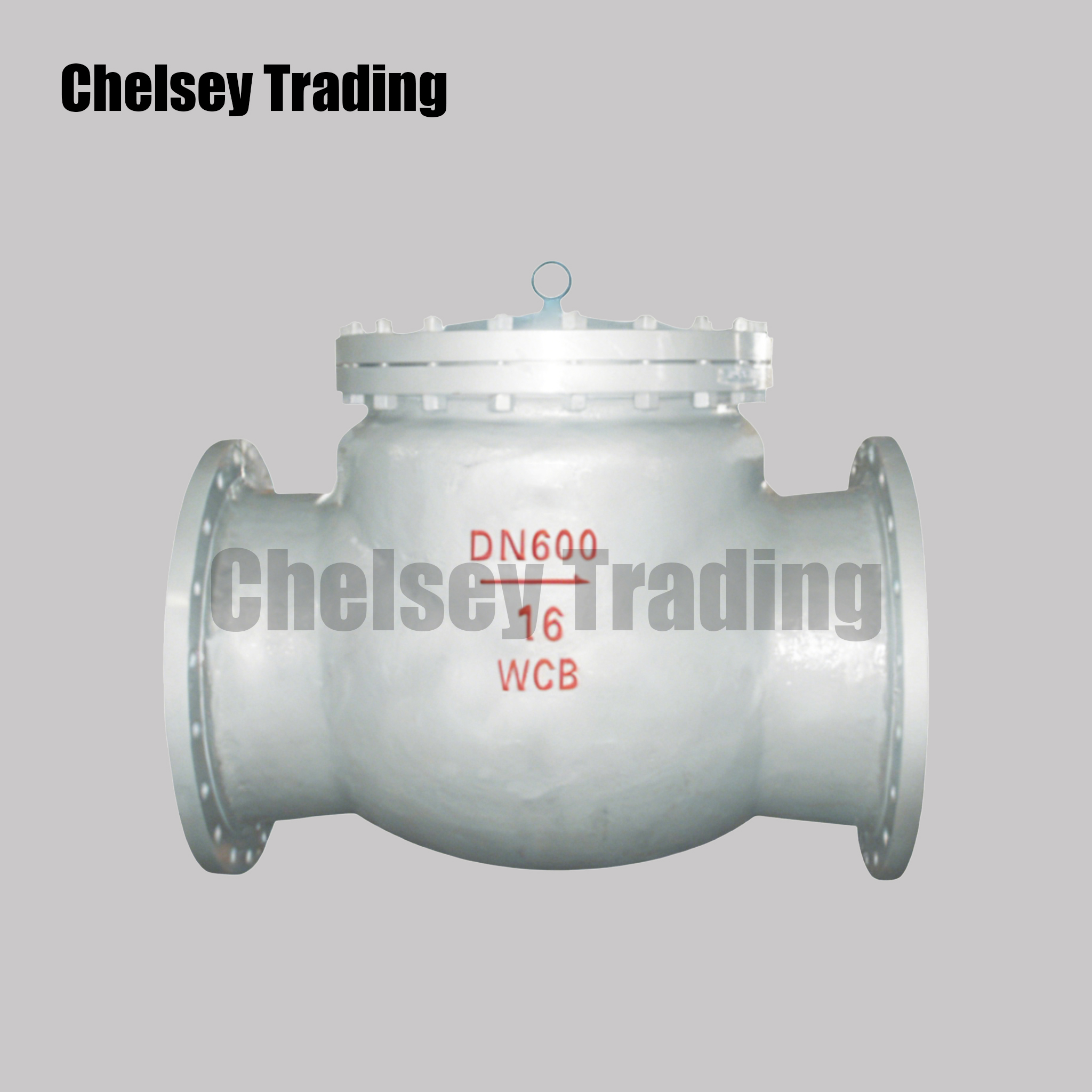 Large Diameter Swing Check Valve
