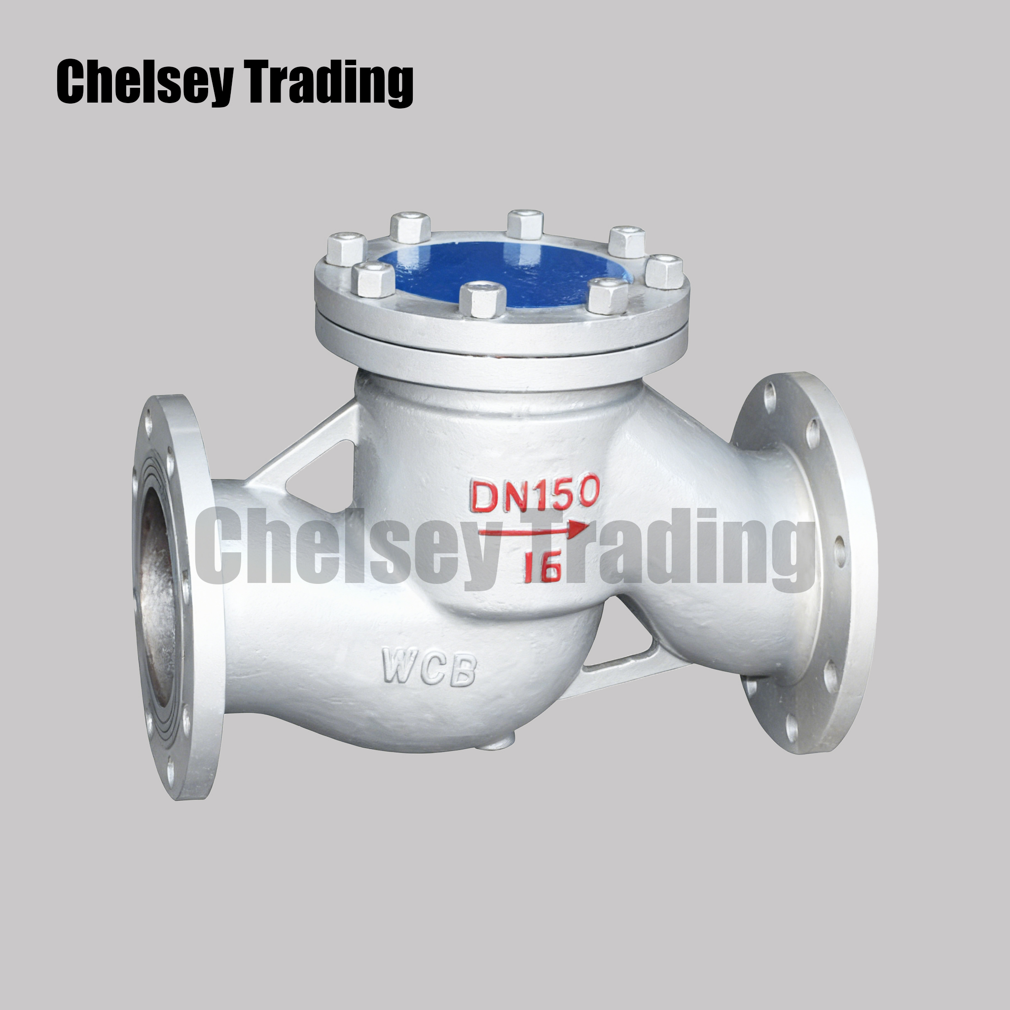 Lift Check Valve