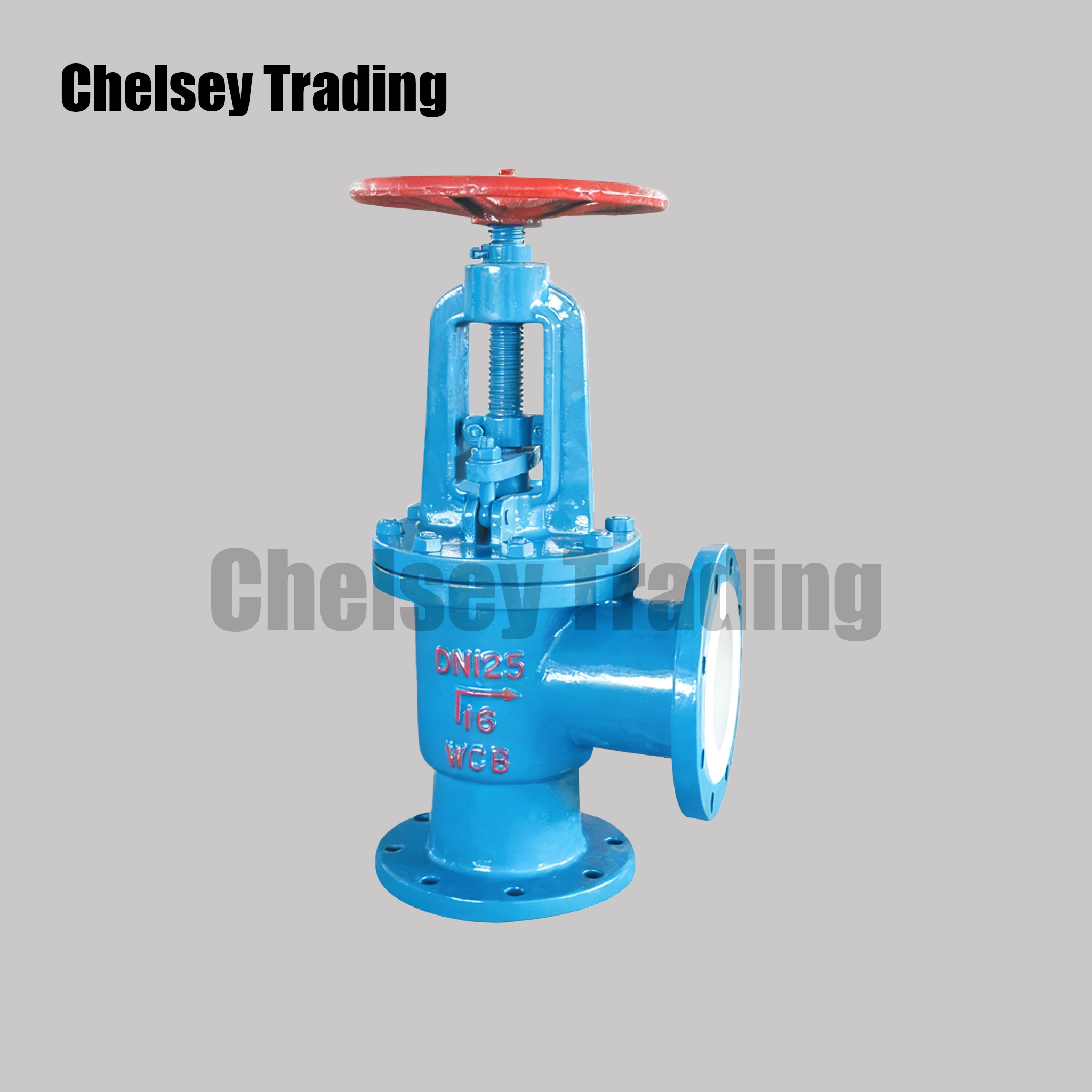 Lined Angle Globe Valve