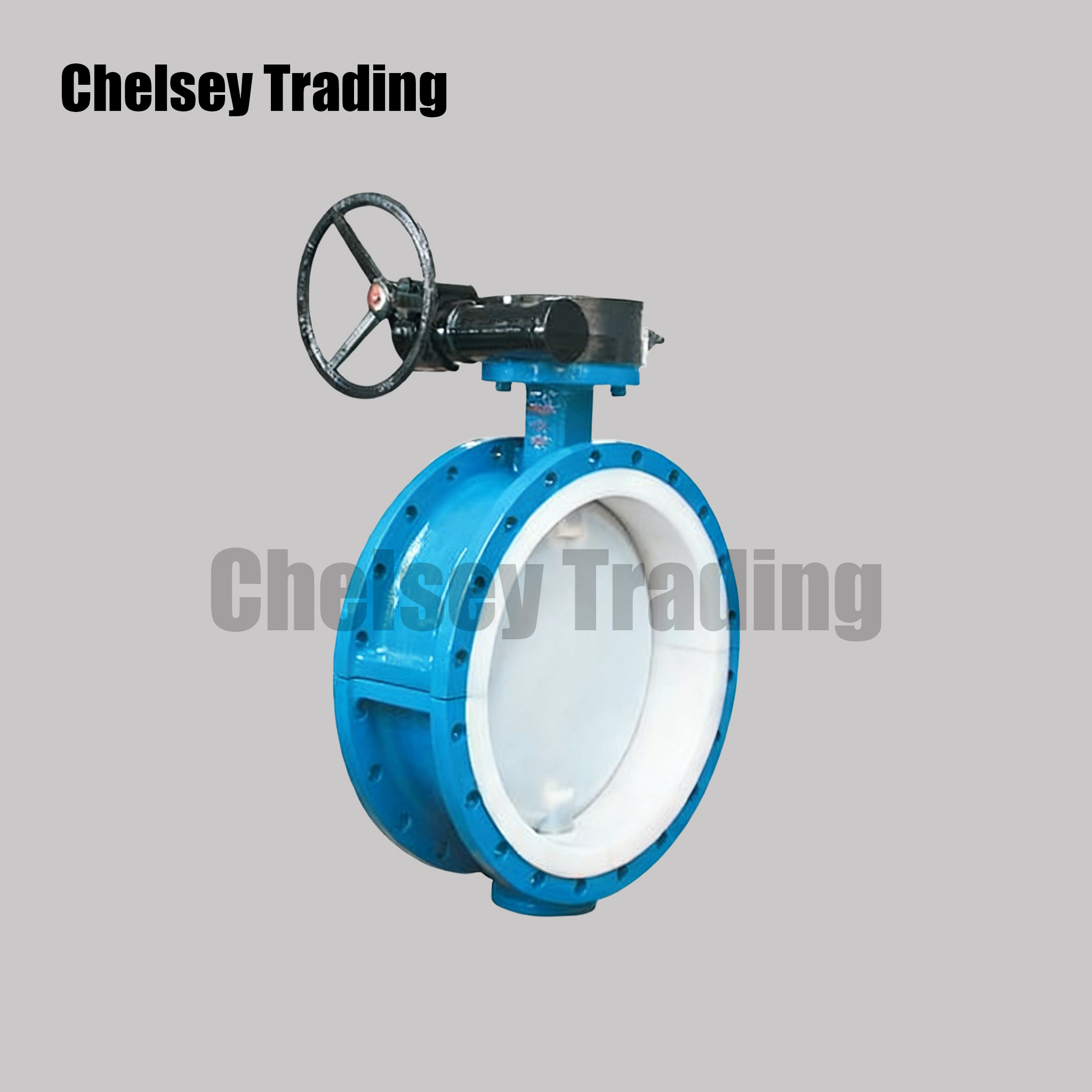 Lined Butterfly Valve