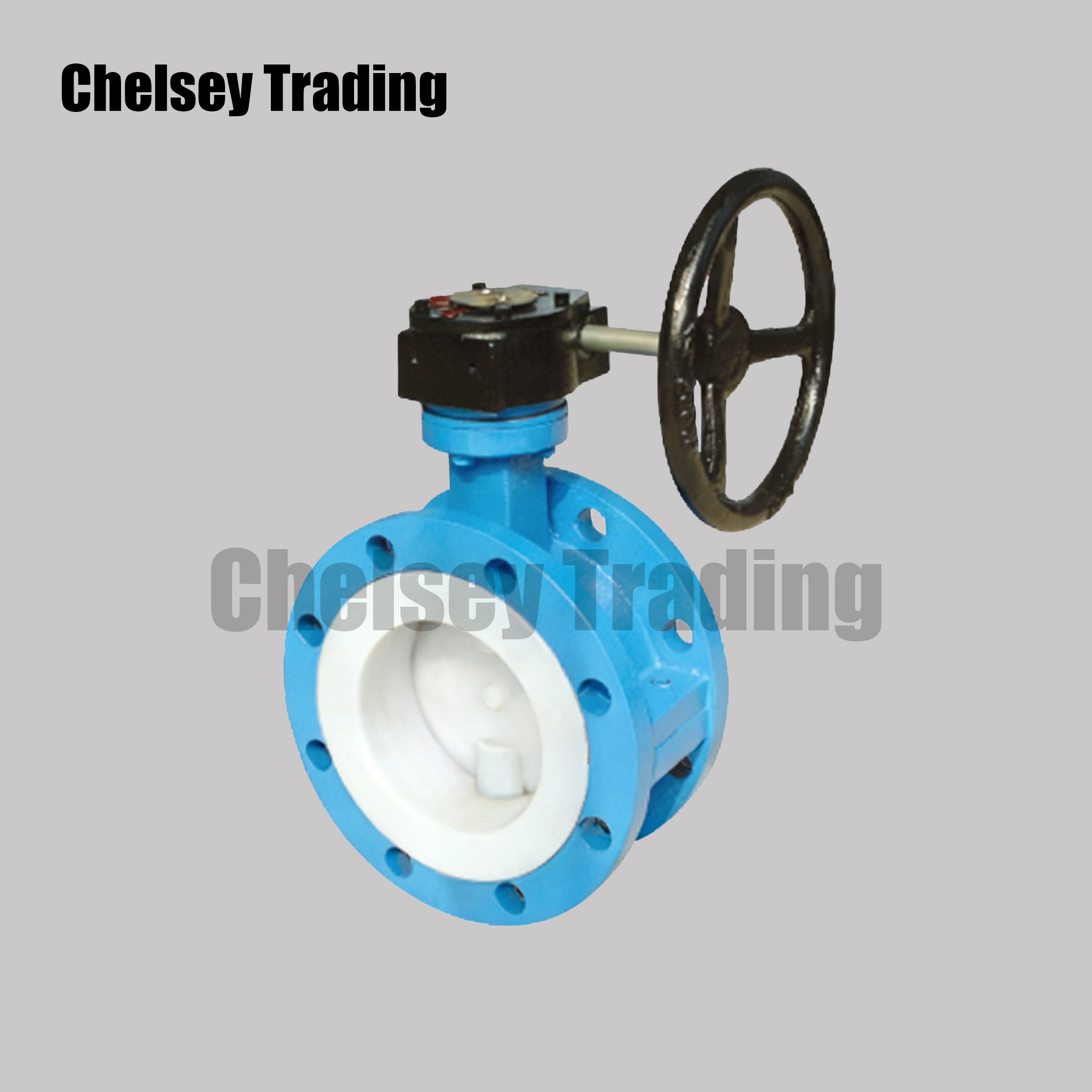 Lined Flanged Butterfly Valve