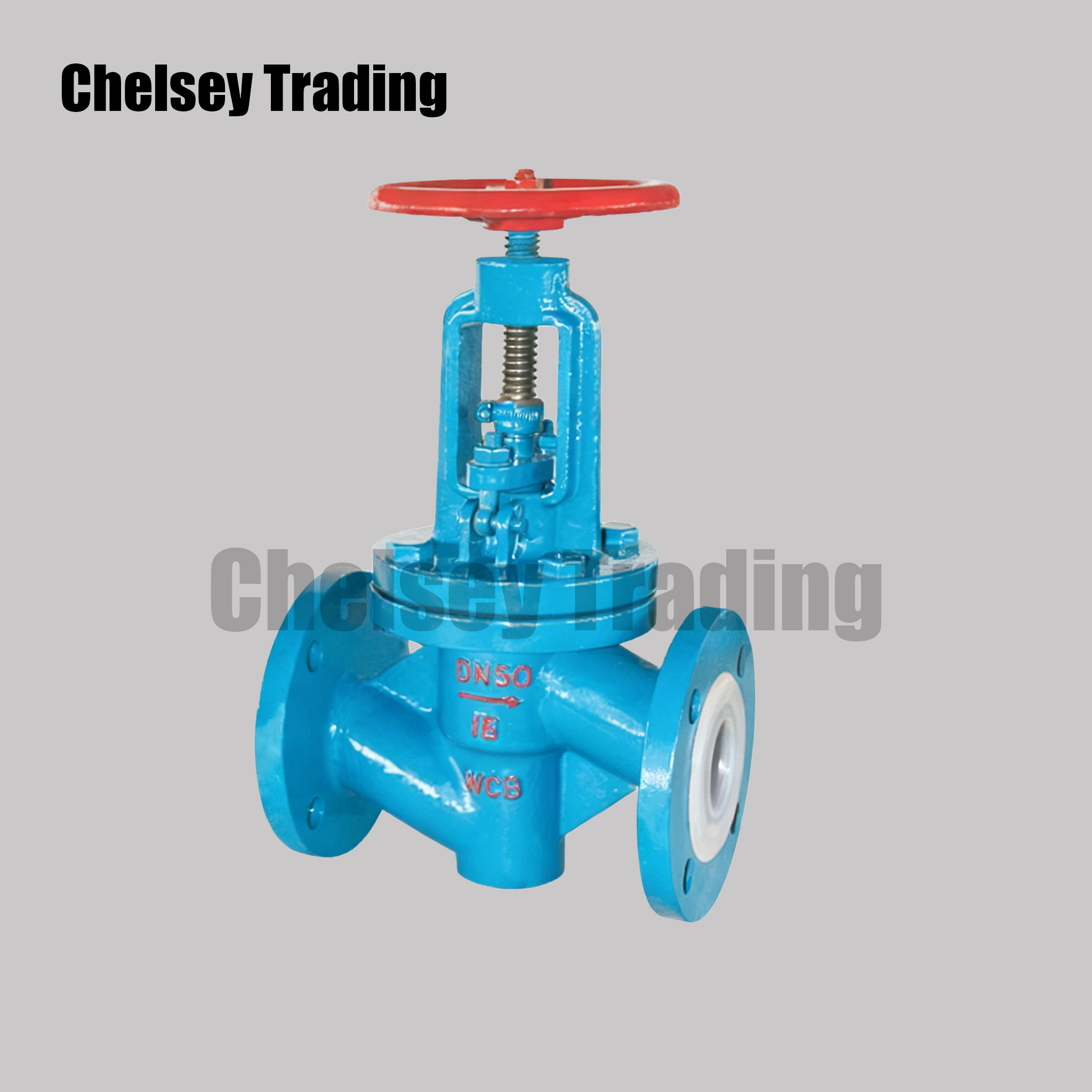 Lined Globe Valve