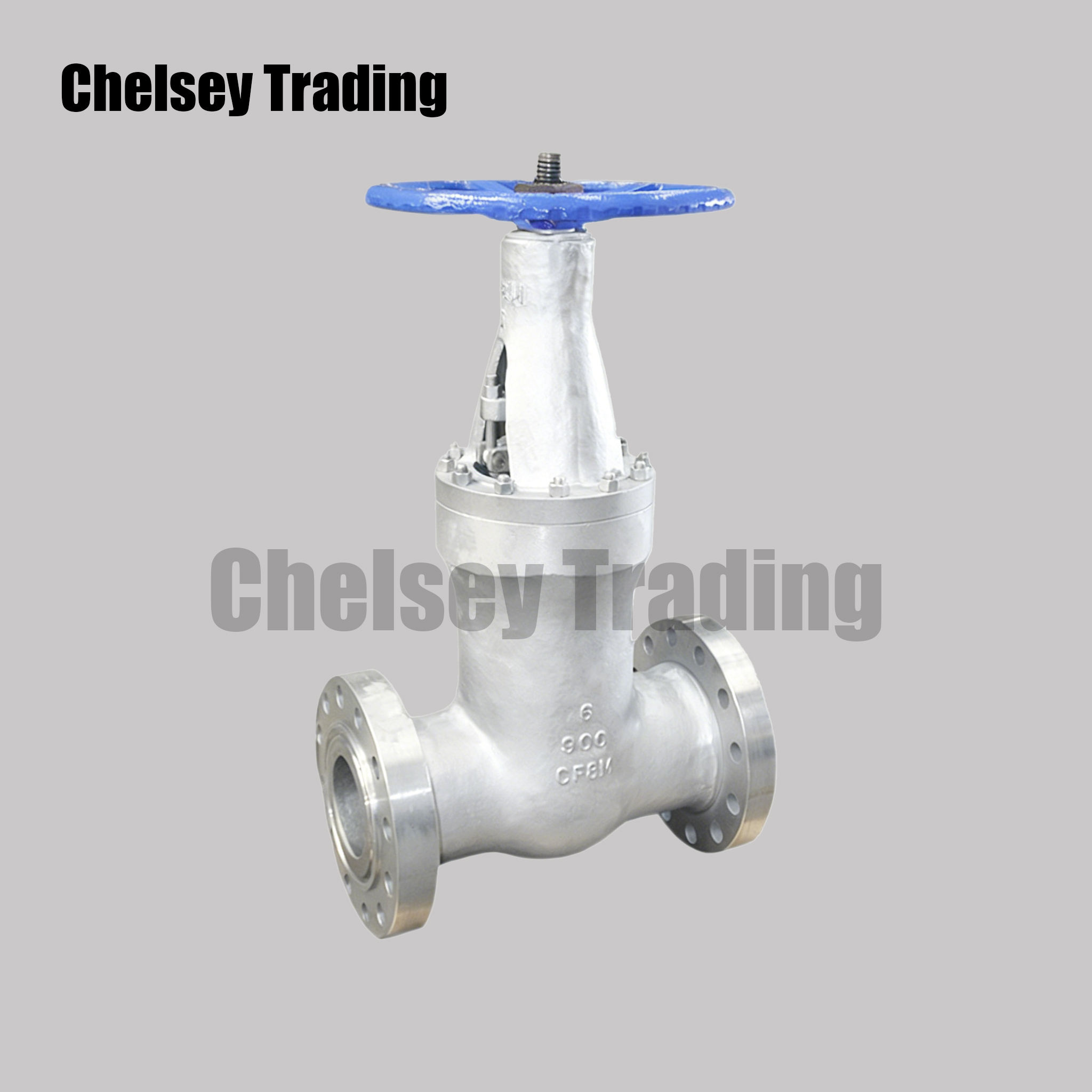 Manual ASME Gate Valve