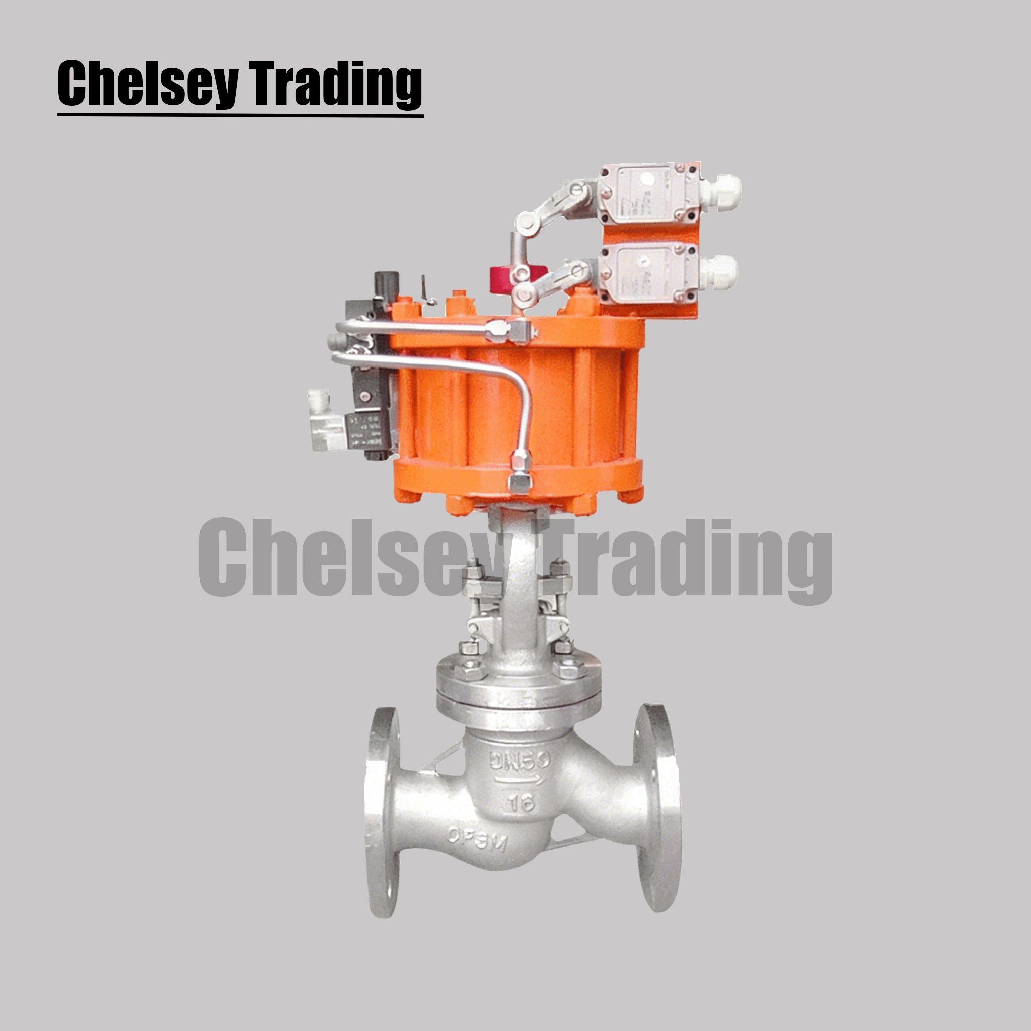 Pneumatic Globe Valve