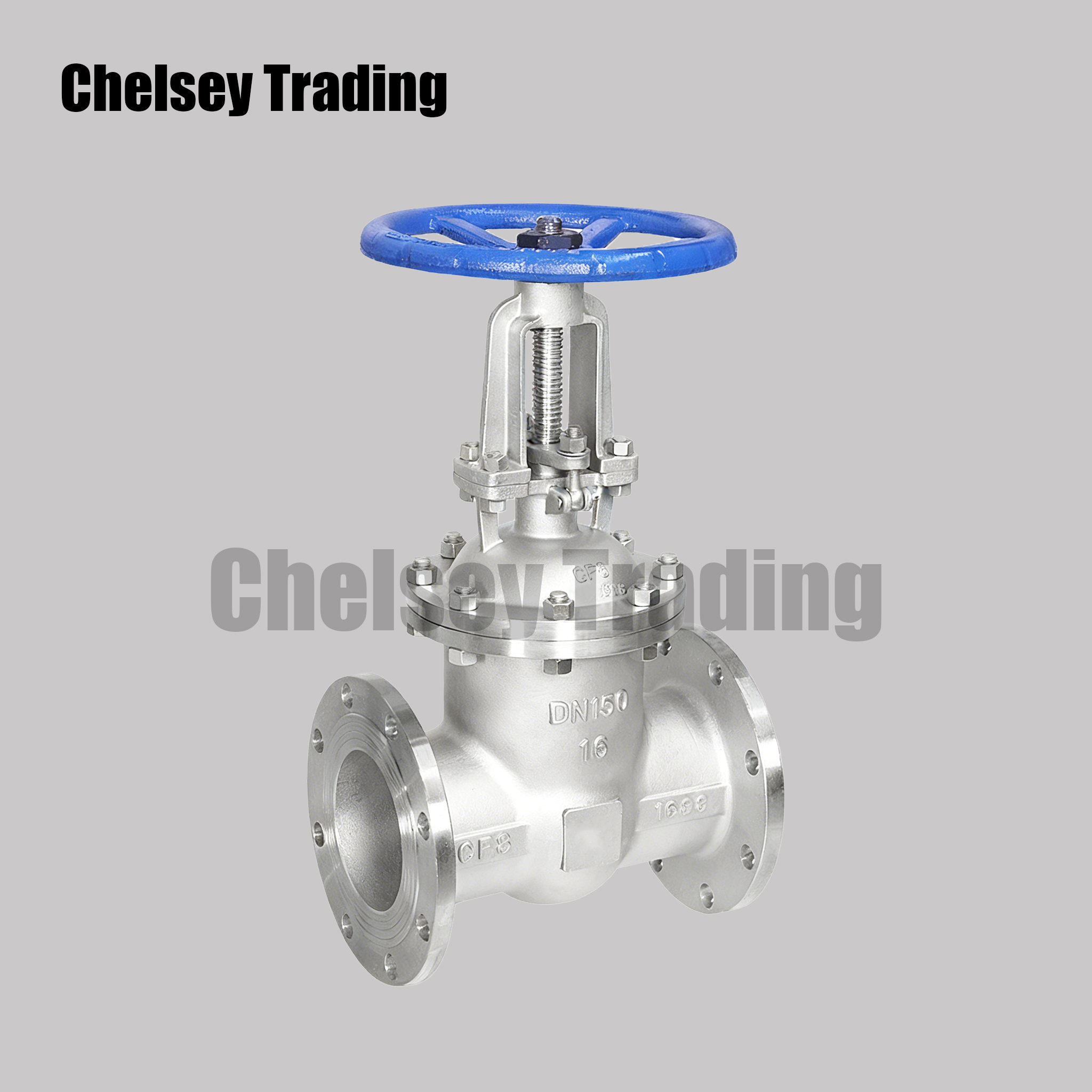Stainless Steel Gate Valve