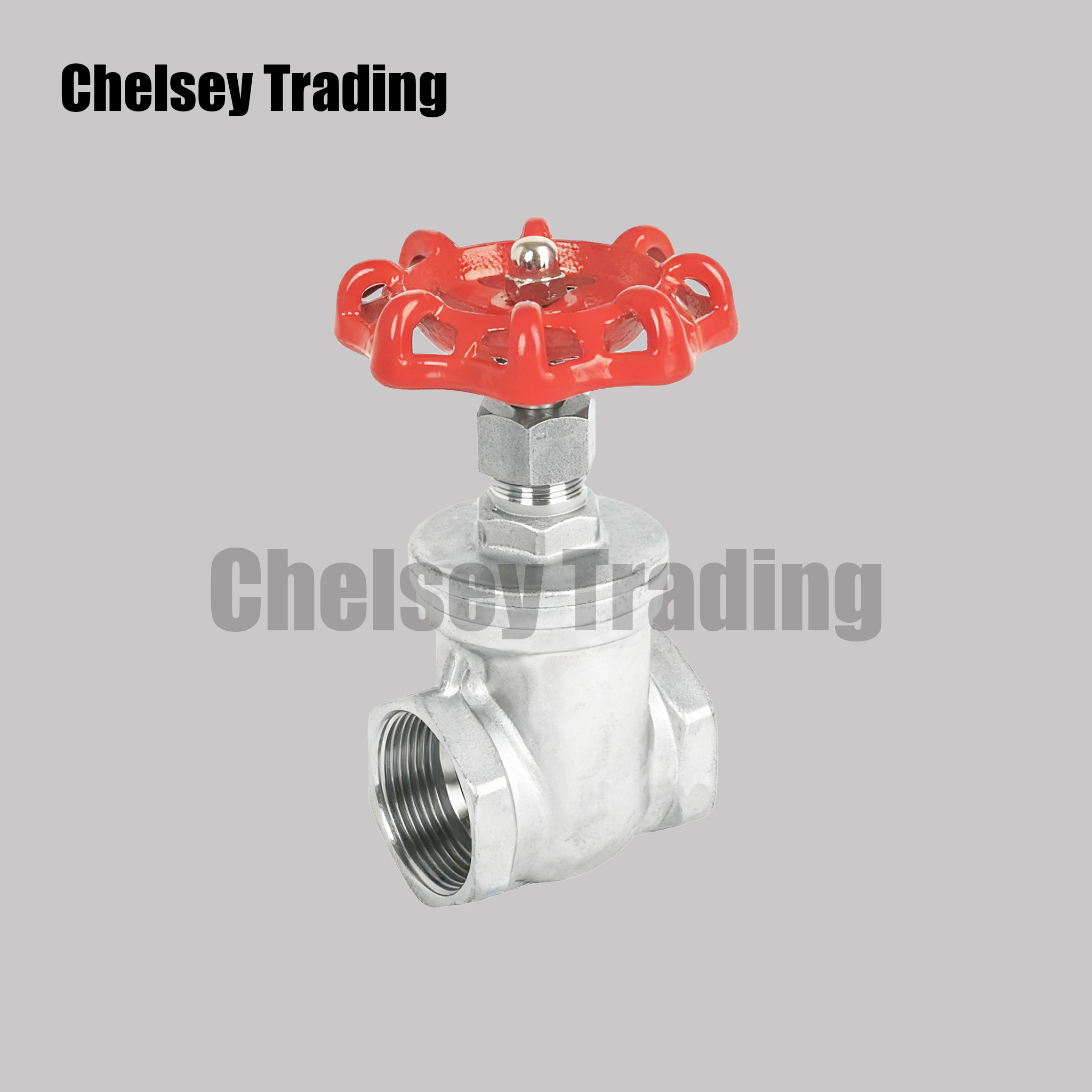 Stainless Steel Threaded Gate Valve