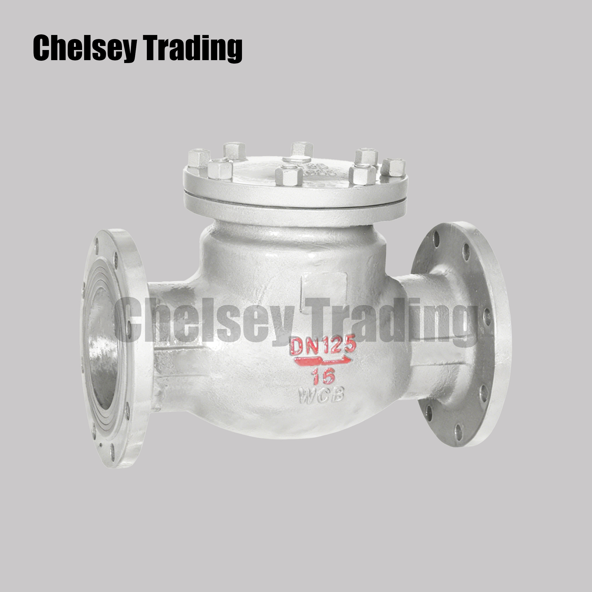 Swing Check Valve