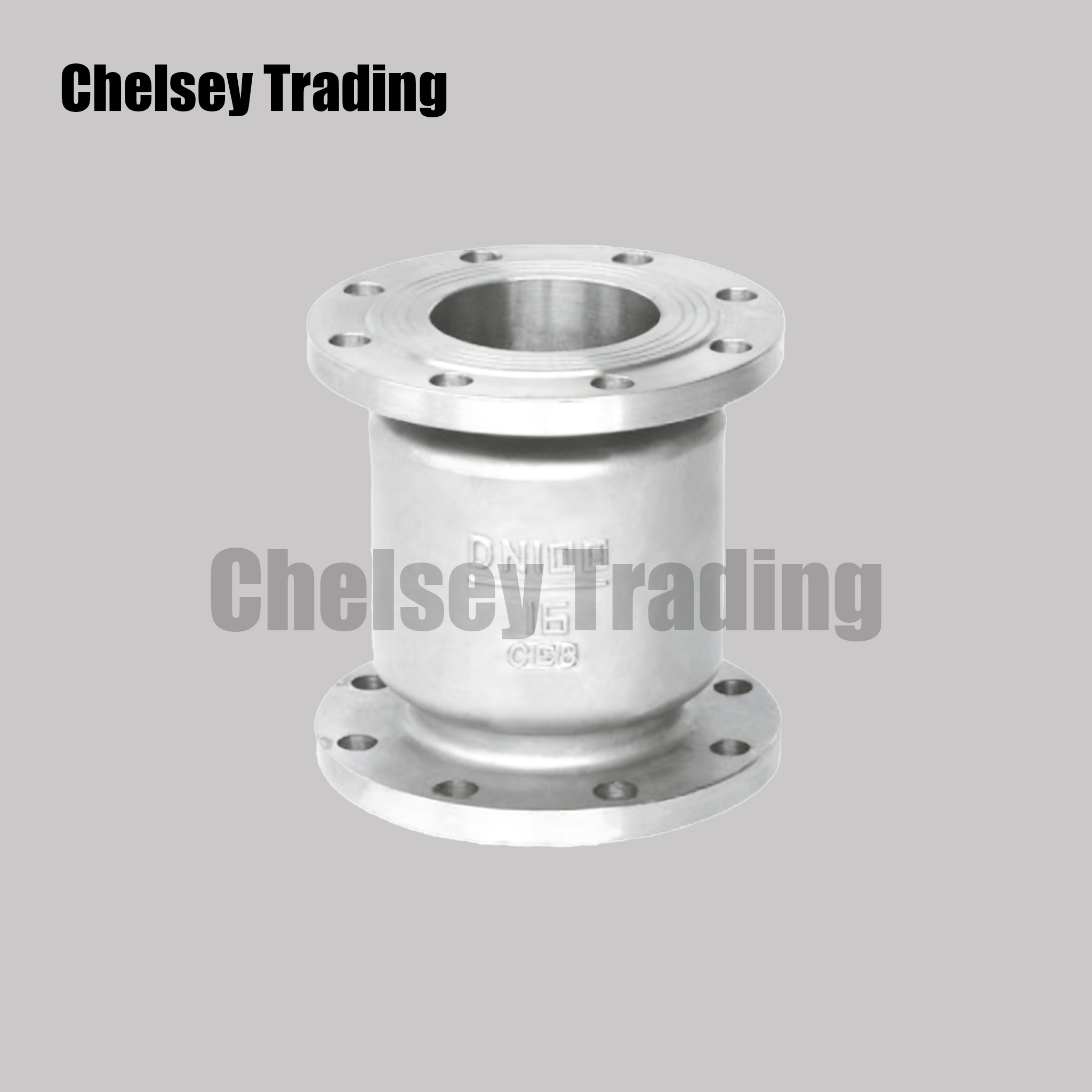 Vertical Check Valve